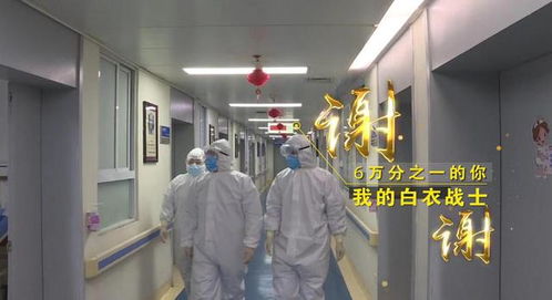 “守護(hù)天使”公益律師武漢上崗，為醫(yī)護(hù)筑起法律后盾